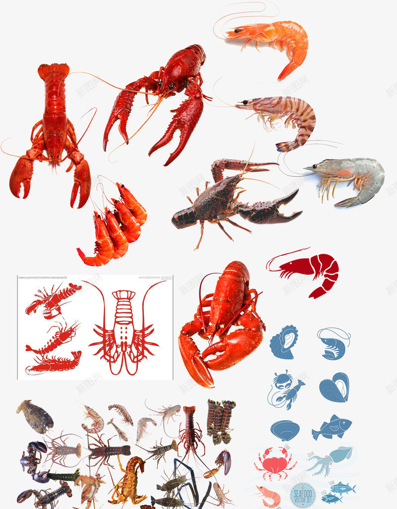 各式各样的海鲜龙虾png免抠素材_88icon https://88icon.com 免抠图 效果图 海产 海鲜 装饰图 装饰画 龙虾