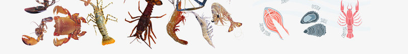 各式各样的海鲜龙虾png免抠素材_88icon https://88icon.com 免抠图 效果图 海产 海鲜 装饰图 装饰画 龙虾