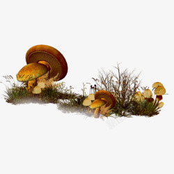 复古草地蘑菇素材