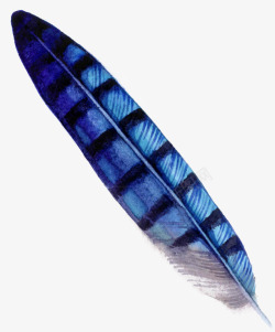 蓝色线条羽毛素材