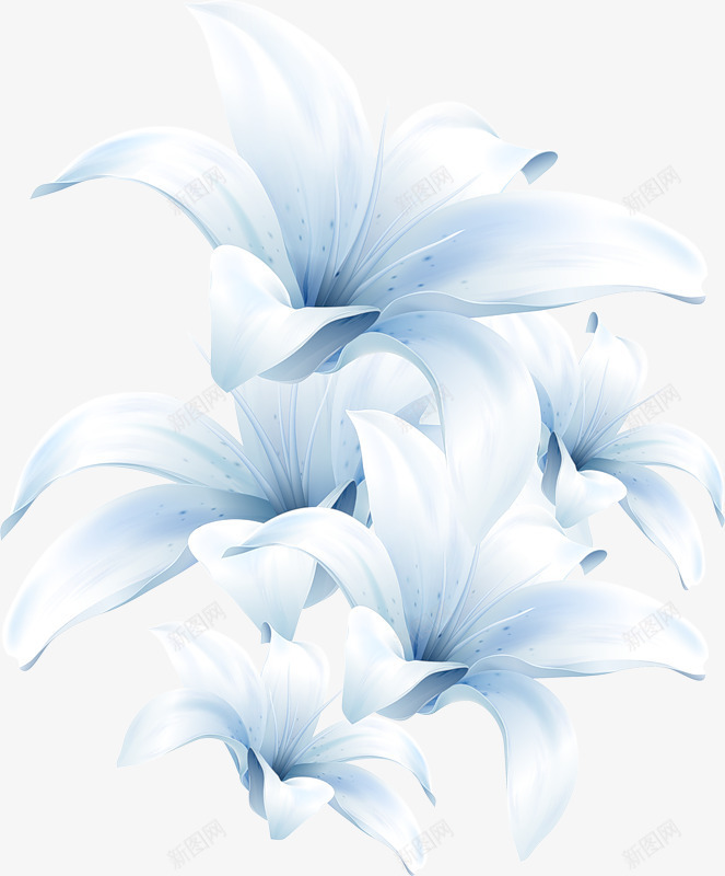 创意蓝色白色的手绘花卉植物png免抠素材_88icon https://88icon.com 创意 植物 白色 花卉 蓝色