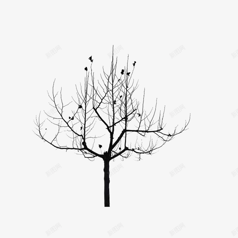 供小鸟停歇的枯树png免抠素材_88icon https://88icon.com 供小鸟停歇的枯树 小鸟剪影 手绘 手绘枯树枝