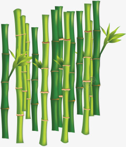 绿色美容院茂密的竹林矢量图素材