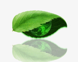 低碳行动绿叶眼睛高清图片