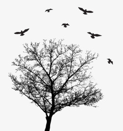 缠绕的树枝候鸟与缠绕的树枝高清图片