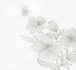 线描植物叶子纹理背景素材