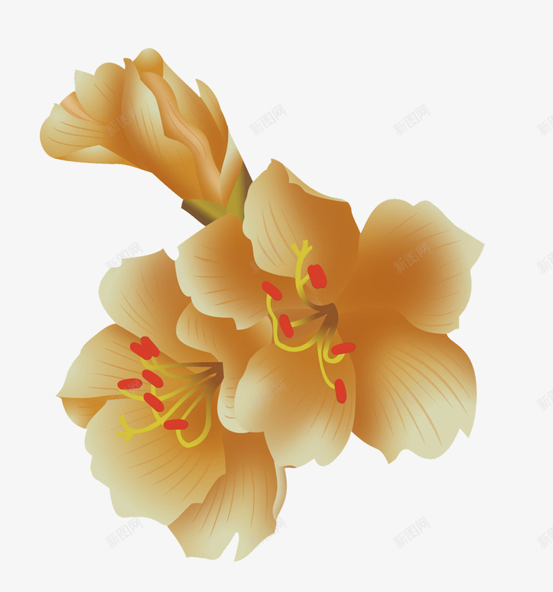 金色杜鹃png免抠素材_88icon https://88icon.com 卡通杜鹃花 手绘 杜鹃花 植物 花卉 花朵