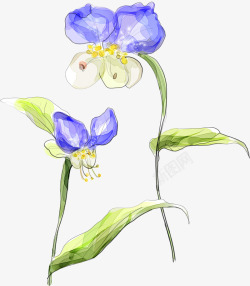 手绘紫罗兰花卉海报素材