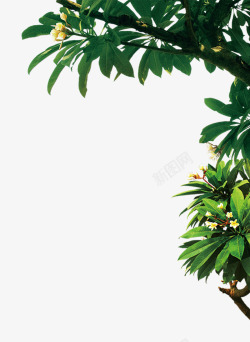 绿色简约植物树枝装饰图案素材