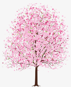彩画樱花树素材