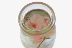 透明杯樱花水信玄饼素材