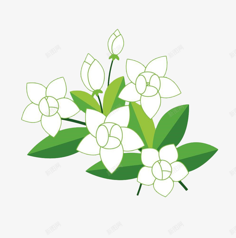 手绘茉莉花png免抠素材_88icon https://88icon.com 叶子 手绘 白色 花卉 花瓣 花苞 茉莉花 茉莉花瓣