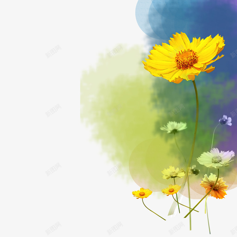 小清新日系插画png免抠素材_88icon https://88icon.com 小清新 小清新日系插画 小清新花朵 插画人物 文艺 文艺插画 日系插画 花卉