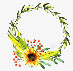 明黄花环高清图片