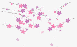 精美樱花粉红精美樱花花瓣矢量图高清图片