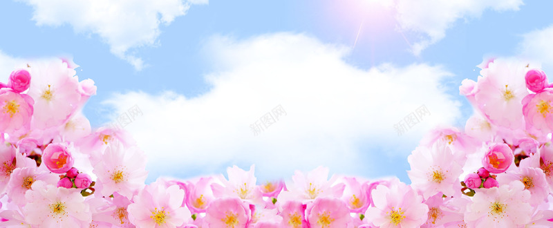 双促销png免抠素材_88icon https://88icon.com 促销 双11 星光 玫瑰 礼品