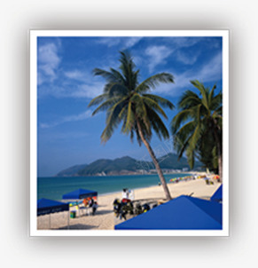 蓝天白云椰树旅游景点png免抠素材_88icon https://88icon.com 旅游 景点 椰树 白云 蓝天