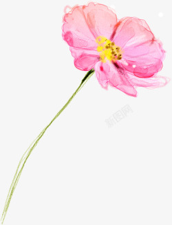 手绘粉色花卉水彩画展架素材