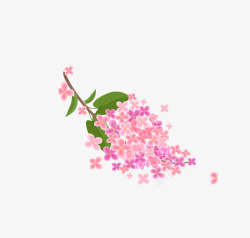 樱花集合粉色日本元素樱花集合高清图片