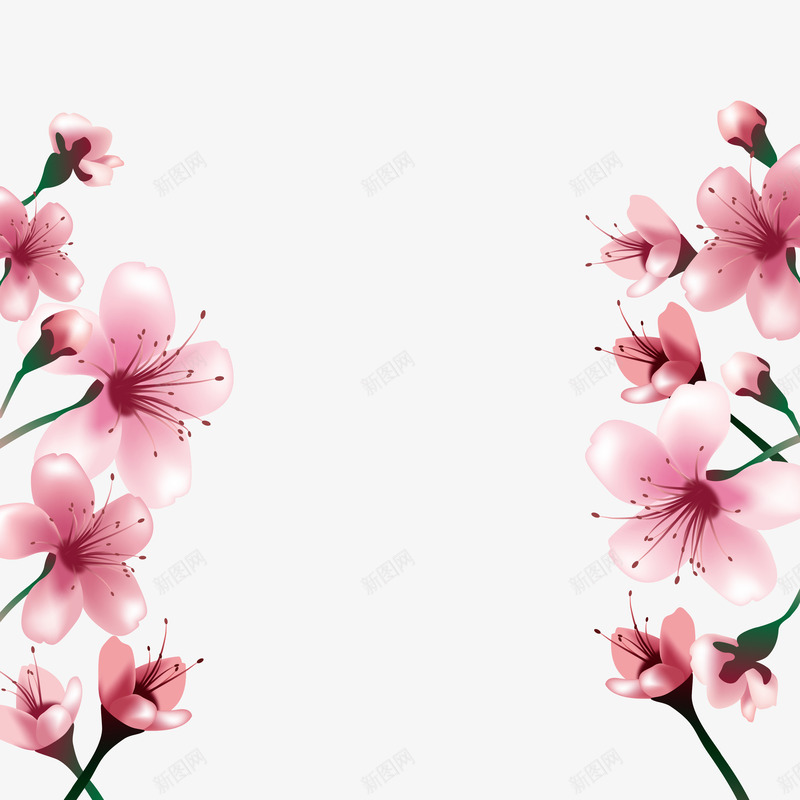 樱花png免抠素材_88icon https://88icon.com 樱花 背景装饰 花卉 花朵 花边