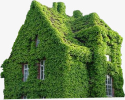 爬满绿色植物的别墅素材