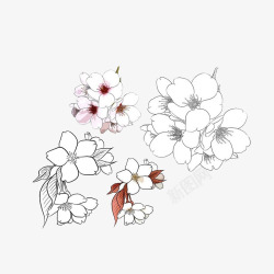 手绘花卉线稿图素材