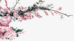 粉色创意花朵桃花树枝素材