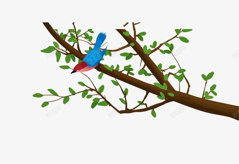 卡通手绘树枝上蓝色的鸟psd免抠素材_88icon https://88icon.com 卡通 手绘树 枝上蓝色的鸟 站立在树枝上的鸟 绿色的叶子