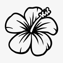 花剪影黑白花朵手绘线条高清图片