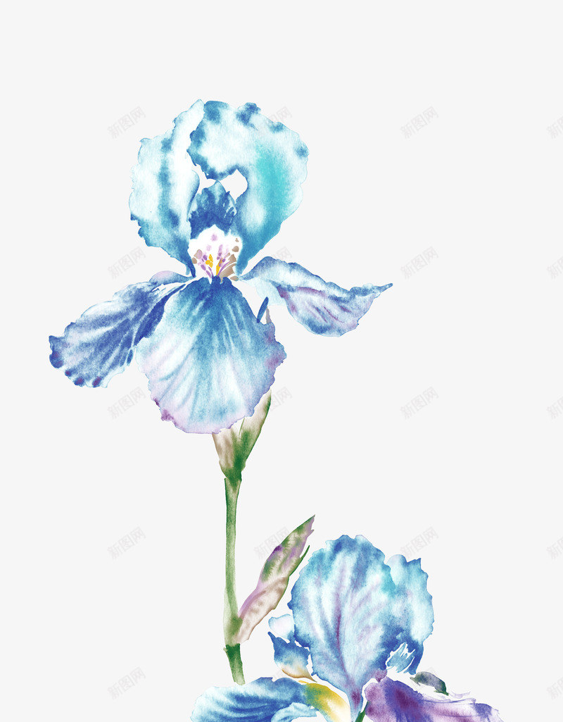 油画花卉psd免抠素材_88icon https://88icon.com 花卉油画蓝色