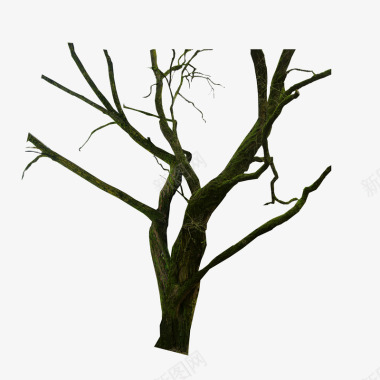 光秃的树干与树枝图标图标