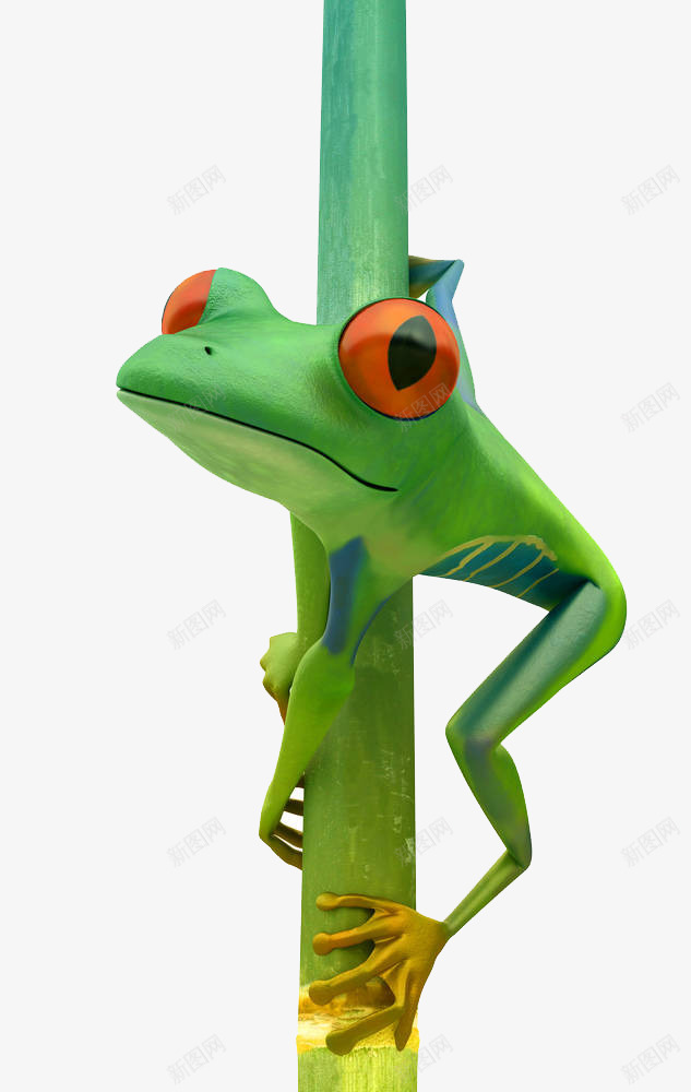 树枝上的青蛙特写png免抠素材_88icon https://88icon.com 两栖类动物 体外受精 卡通青蛙 手绘青蛙 蛙科 蝌蚪 跳跳蛙