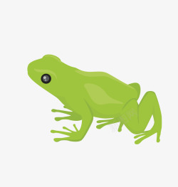 蛙类绿青蛙矢量图高清图片