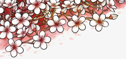 手绘白色水彩樱花矢量图素材