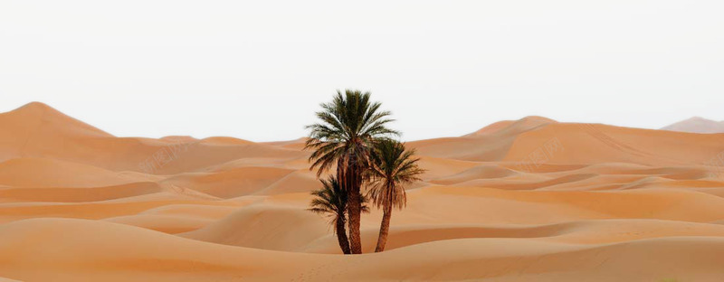 美丽的沙漠景色png免抠素材_88icon https://88icon.com 动漫蓝天白云图片 沙丘 沙漠图片 沙漠风光 沙漠风景 美丽景色 美丽沙漠黄昏 美丽的沙漠景色 美丽风景 荒漠 蓝天白云 风景图片 风景摄影