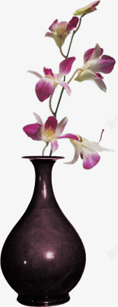 紫色花瓶里的紫色兰花素材