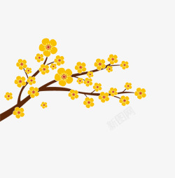 简洁黄色黄色的梅花高清图片