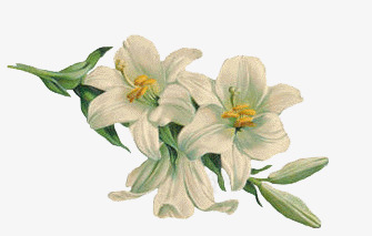 手绘手绘英伦风png免抠素材_88icon https://88icon.com 手绘欧美素材 手绘英伦风 欧美素描 欧美风景 素描 英伦风素描