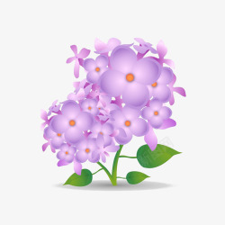 手绘紫丁香花卉插画素材