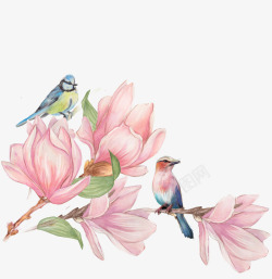 卡通手绘小鸟与花朵素材