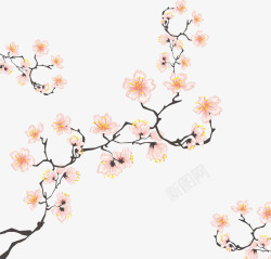 樱花树枝矢量图素材