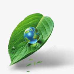 低碳行动树叶地球高清图片