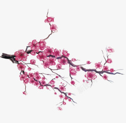 手绘日本樱花素材