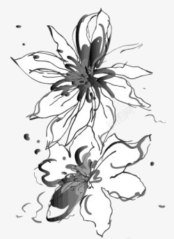 创意黑白复古风格的花卉植物素材