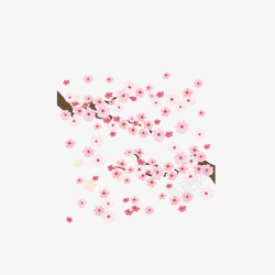 粉色日本樱花盛放装饰素材