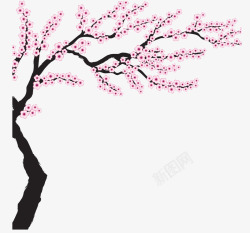 樱花树素材