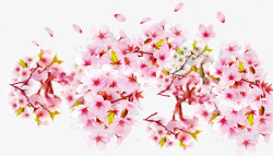 樱花节粉色樱花背景素材