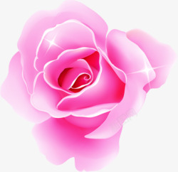 粉色手绘唯美星光玫瑰素材