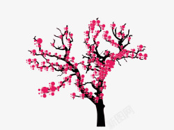 樱花树樱花盛开的季节樱花节素材