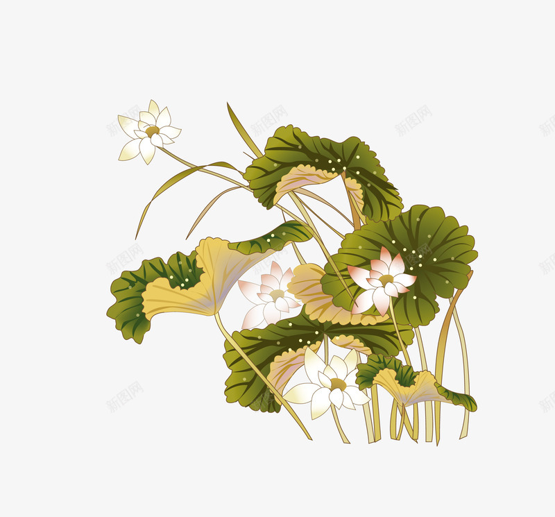 国画荷花png免抠素材_88icon https://88icon.com 国画荷花 树枝 花丛 鸟